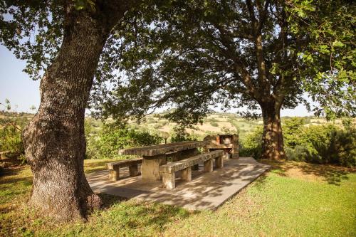 a wooden bench sitting under two trees in a park at Bio Agriturismo Poggio Aione in Saturnia