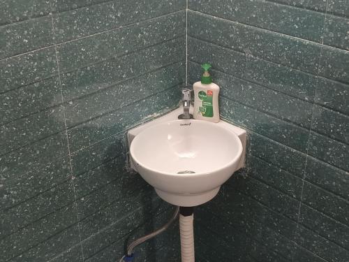 a bathroom with a white sink in a green wall at Dwarahat Village Farmstay- Babaji's Cave in Dwārāhāt