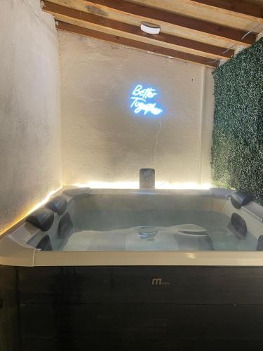 une baignoire avec un panneau dans une salle de bain dans l'établissement Loft spa, cour arrière privée, à Labruguière