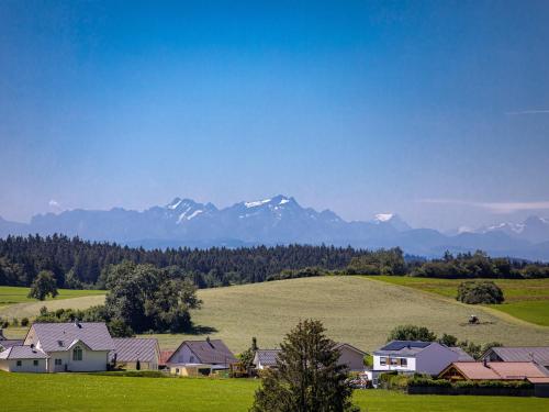 a group of houses in a field with mountains in the background at Wohnung Sonnentau in Bad Wurzach