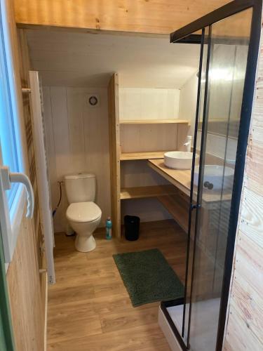 une petite salle de bain avec toilettes et lavabo dans l'établissement Great big holiday house, à Vielle-Saint-Girons