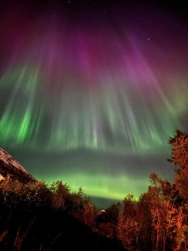 an image of the northern lights in the sky at Alkove Apartment in Tromsø