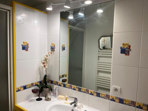 une salle de bain avec un lavabo et un miroir dans l'établissement Apartment Le Goëland, à Arcachon