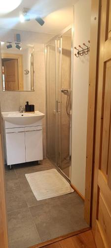 a bathroom with a sink and a shower at Apartament Olczański Chëcz in Zakopane