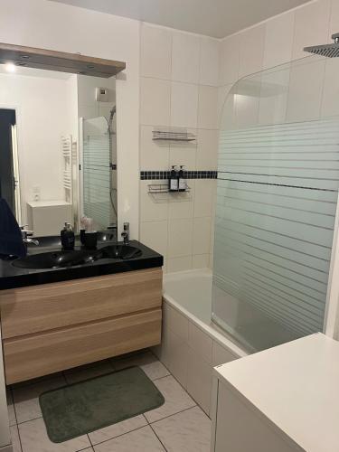 une salle de bain avec un lavabo, une baignoire et un miroir dans l'établissement 2 Bedrooms, near Paris, family friendly, metro RER, à Rosny-sous-Bois