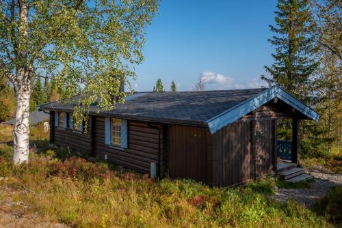 una pequeña cabaña en un campo con árboles en Trysilfjellet Sør 204, en Trysil
