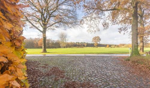 a walkway with trees and a field in the background at De Zwaluwhoeve in Peer