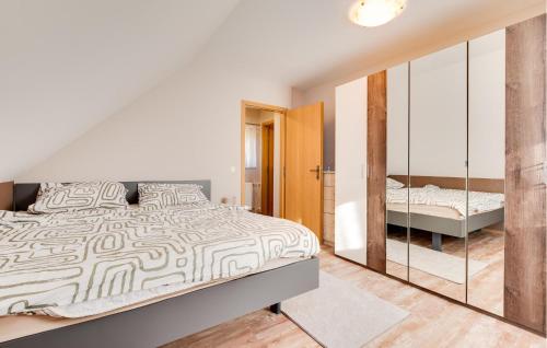 a bedroom with a large bed and a mirror at Gorgeous Home In Plesivica With Sauna in Plešivica