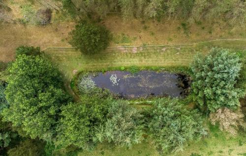 an overhead view of a pond in a field with trees at Amazing Home In Silkeborg With Sauna in Silkeborg
