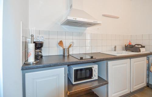 une cuisine avec un comptoir avec un micro-ondes dans l'établissement Cozy Home In Arles With Wifi, à Arles
