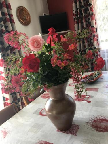 Photo de la galerie de l'établissement Gite de la lionnaire, à Orches