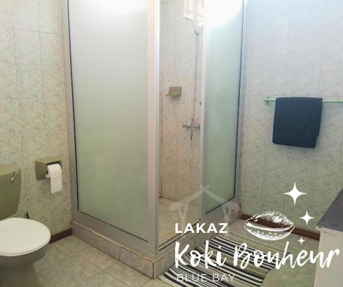 a bathroom with a glass shower with a toilet at Lakaz Koki Bonheur Blue Bay in Blue Bay