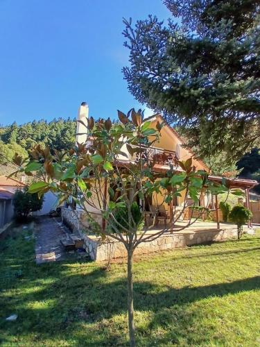 a small tree in front of a house at Μονοκατοικία μέσα στα έλατα in Lávka
