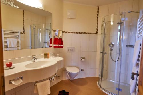 a bathroom with a sink and a shower and a toilet at Berggasthof Platzlalm in Kaltenbach