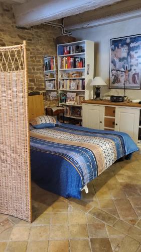 Schlafzimmer mit einem Bett, einem Schreibtisch und Bücherregalen in der Unterkunft Le Colimaçon in Cluny