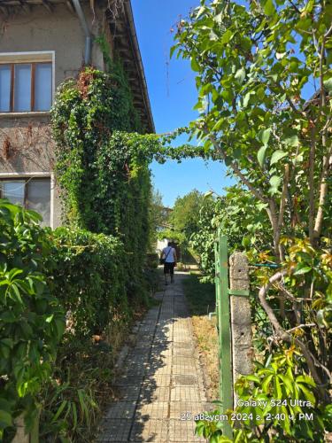 a person walking down a path next to a building at Вила Драгоман in Dragoman