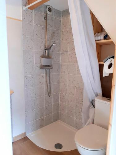 une salle de bain avec douche et toilettes dans l'établissement studio, 2 personnes lit en mezzanine, à Angers