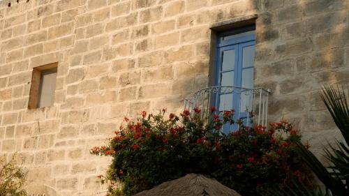 Φωτογραφία από το άλμπουμ του Village Knights Accommodation σε Żebbuġ