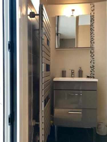 a small bathroom with a sink and a mirror at Villa Eugénie Melun in Melun