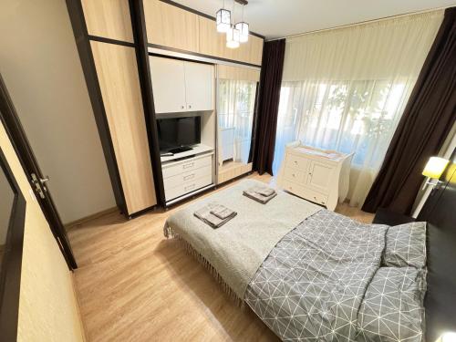Valea LupuluiにあるERA Apartmentのベッドと薄型テレビのある寝室