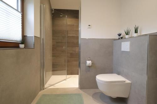 ein Badezimmer mit Toilette und Glasdusche in der Unterkunft Ferienwohnung Weinbergsliebe in Rümmelsheim