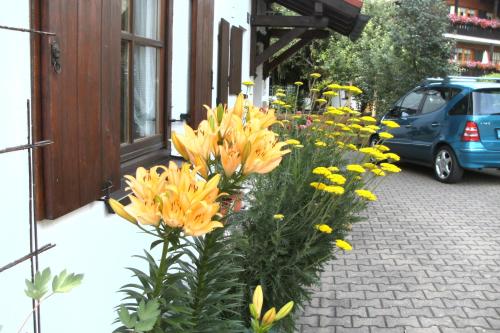 a bunch of yellow flowers on the side of a street at Haus Rotspitze in Oberstdorf