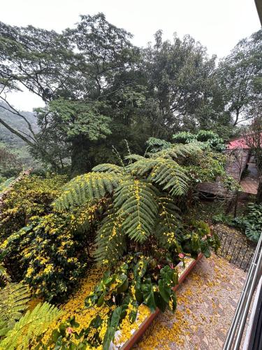 Gallery image of FINCA HOTEL Los AZAHARES in Angelópolis
