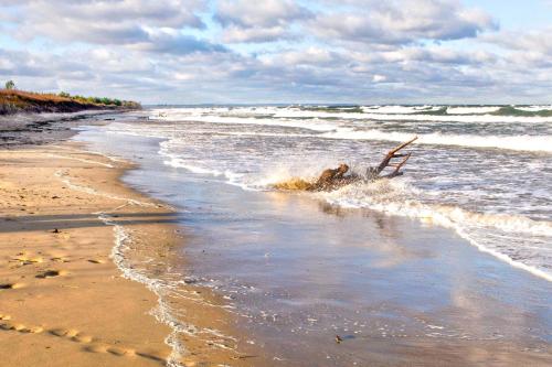 a beach with waves and a branch sticking out of the water at SOBIESZEPTY Odetchnij ciszą in Gdańsk