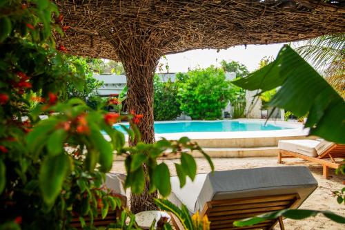 a patio with a chair and a tree and a pool at Seconda Stella Romantic Hideaway in Jambiani