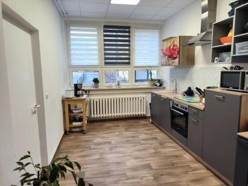 Dapur atau dapur kecil di Ferienwohnung am Englischen Garten