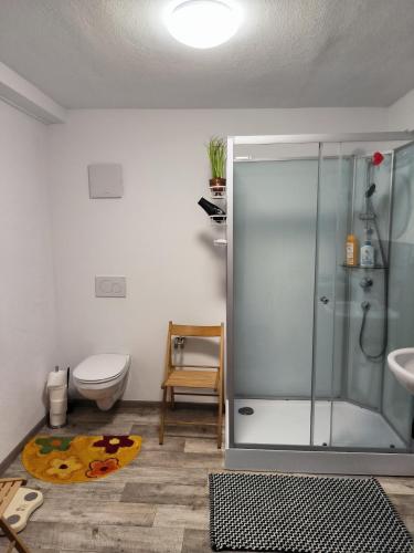 Bilik mandi di Ferienwohnung am Englischen Garten