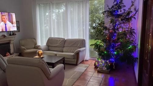 Χώρος καθιστικού στο Casa dos Plátanos