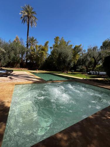 a pool of water in a park with a palm tree at Villa kasbah de luxe, piscine et jacuzzi chauffés, jardin tropical in Marrakech