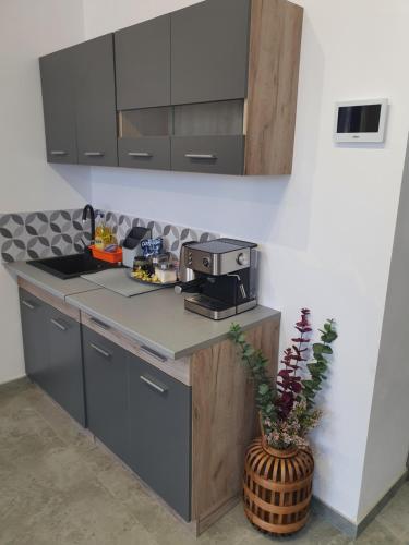 Dapur atau dapur kecil di Urban Studio Heltau