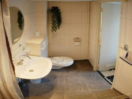 a bathroom with a sink and a toilet at Holiday home in Petten near beach in Petten