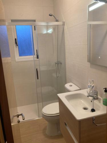 a bathroom with a shower and a toilet and a sink at Apartamento en Sotrondio in Sotrondio