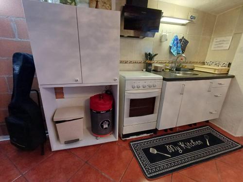 a small kitchen with a sink and a stove at Apartamento entero en la montaña in El Pont de Vilomara