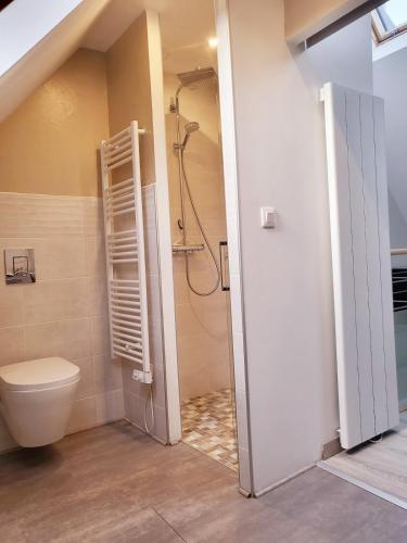 a bathroom with a shower and a toilet at L'Héméra in Barfleur
