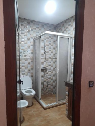 Koupelna v ubytování Apartament Ines