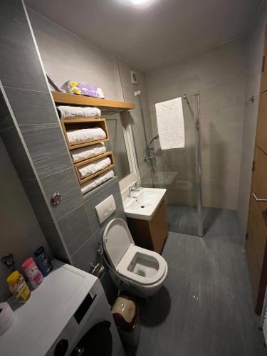 a small bathroom with a toilet and a sink at VIP Apartment FOUR in Sarajevo