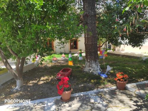Κήπος έξω από το Katerina Apartments