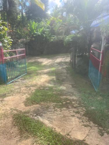 an entrance to a yard with a red gate at Wonderland Rooms in Petit-Bourg