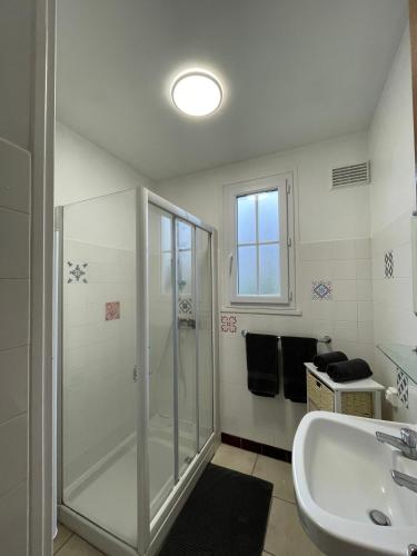 une salle de bain avec douche et lavabo dans l'établissement Maison des Rêves de Loire, à Saint-Aignan