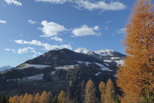 a mountain in the distance with trees and snow at Chalet Incanto, Frassilongo, Trentino Alto Adige in Frassilongo