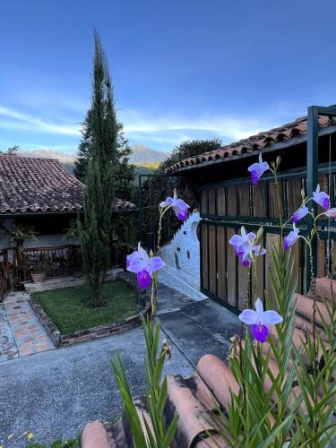 a house with purple flowers in front of it at La Cabaña del Abuelo in Lourdes
