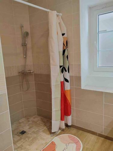 a shower with a shower curtain in a bathroom at Chez Hélène et Jérémy in Montargis