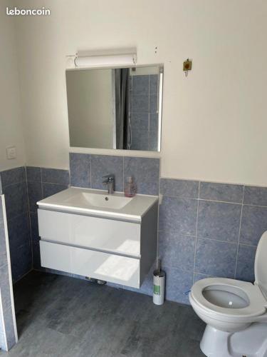 une salle de bain avec un lavabo et des toilettes dans l'établissement Maison de charme Roubaix 6 couchages, à Roubaix