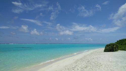 a white beach with blue water and trees on it at Avi Guesthouse in Thoddoo