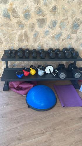a shelf with a blue frisbee on the floor at ROMERO APARTMENTS-ARENALES DEL SOL in Arenales del Sol