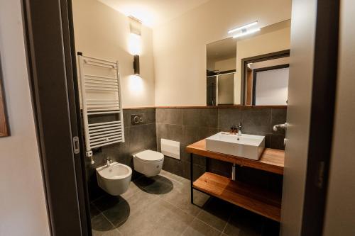 Un baño con lavabo, inodoro y espejo. en Chalet K2, en Prato Nevoso